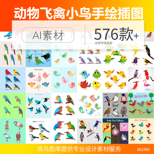 卡通扁平手绘动物飞禽小鸟鹦鹉鸟类图标插图ai矢量ps平面设计素材