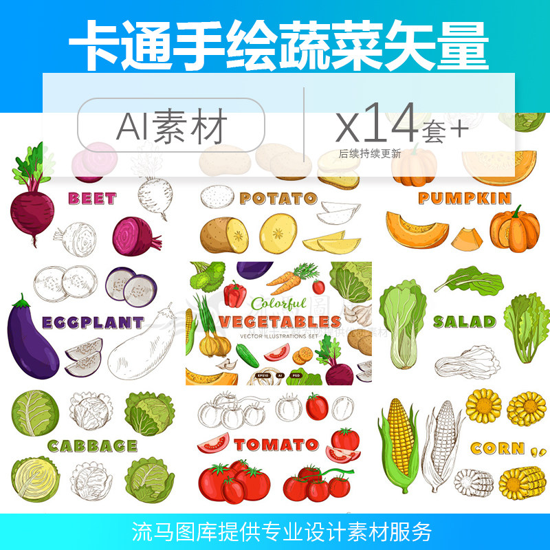 卡通手绘蔬菜茄子南瓜黄瓜西红柿土豆萝卜白菜插画AI矢量设计素材