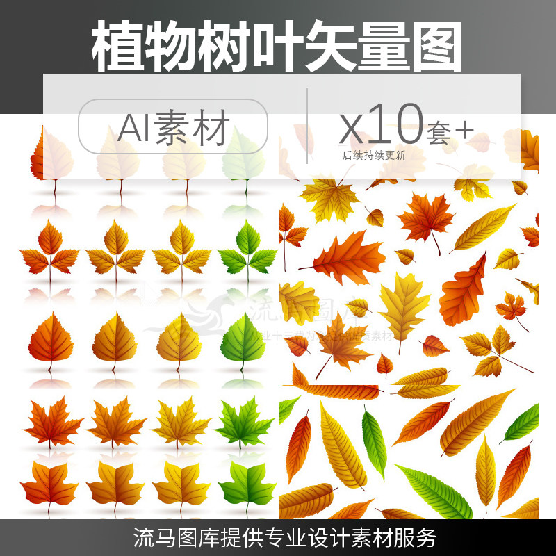 10套ai矢量秋天枫叶树叶单片叶子线描植物元素插画图平面设计素材,商务/设计服务,设计素材/源文件,淘宝优惠券,粉丝福利购,淘宝优惠卷