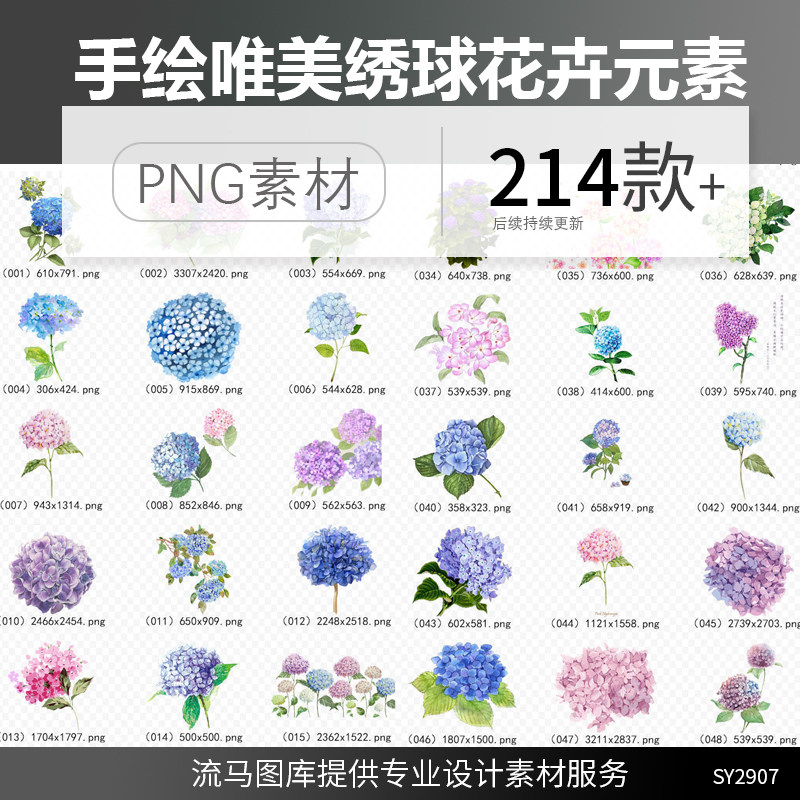 214款卡通手绘唯美绣球花花卉花朵插画元素PNG免扣平面设计素材图