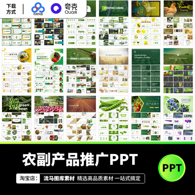 66款绿色农业农副产品水果粮食家禽宣传推广方案PPT设计素材模板