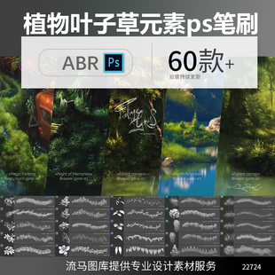 专业高端设计师常用国外森林树木植物叶子和草元素手绘ps笔刷素材
