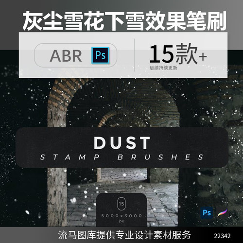 高品质的逼真质感灰尘雪花下雪背景底纹纹理Procreate笔刷PS素材