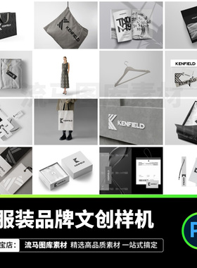 服饰服装品牌文创包装宣传物料vi设计展示智能样机PSD设计素材