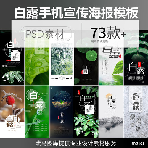 传统二十四节气白露H5手机宣传海报朋友圈配图PSD设计素材模板