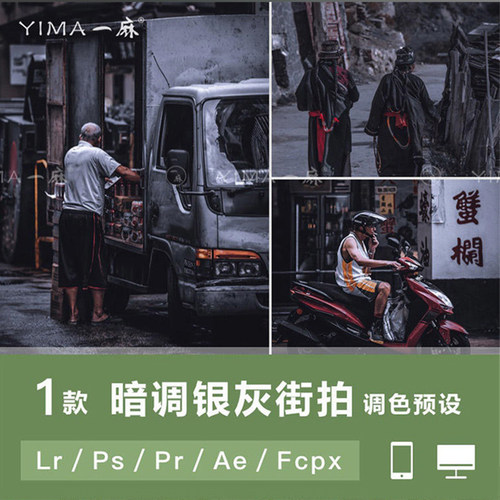 LR预设PS冷色ins街拍银灰色纪实FCPX达芬奇手机APP滤镜PR调色LUT