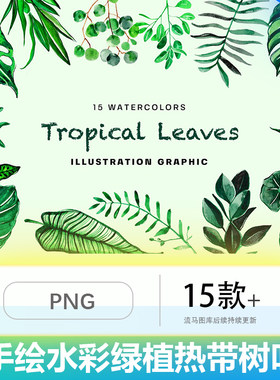 时尚清新手绘水彩风格热带雨林植物树叶插画插图纹理AI矢量素材
