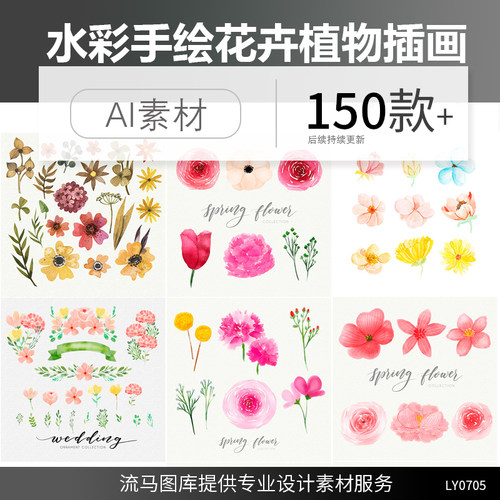 手绘水彩花卉花朵玫瑰植物叶子春天婚礼元素平面设计素材ai矢量