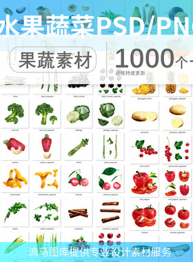 果蔬手绘水彩水墨水果蔬菜美食插画海报PNG免抠PSD分层PS素材模板