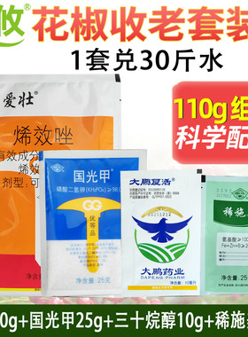 花椒收老套餐收老药国光爱壮矮化