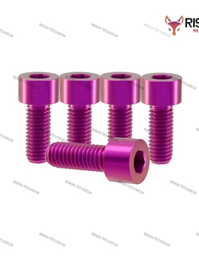 RisonTitanium 钛合金圆柱头内六角螺丝M5mm骑行车摩托车改装螺丝