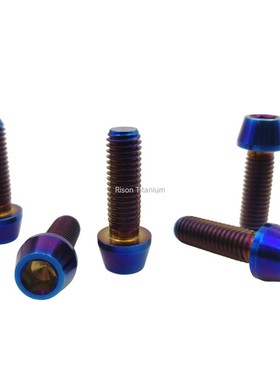 Rison-Titanium钛合金锥形头M6螺丝自行车改装螺丝