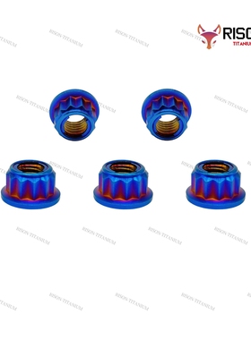 RISONTITANIUM 钛合金TC4 (Gr5)12角金属锁紧法兰螺母M8x1.25