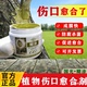 树木愈合剂杀菌剂植物伤口愈合剂树干盆景修剪愈合膏腐烂病流胶病