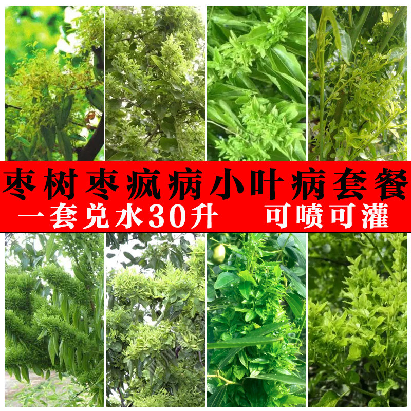 郑氏化工盐酸吗啉胍病毒病枣疯病杀菌剂枣树小叶病火龙病专用套装