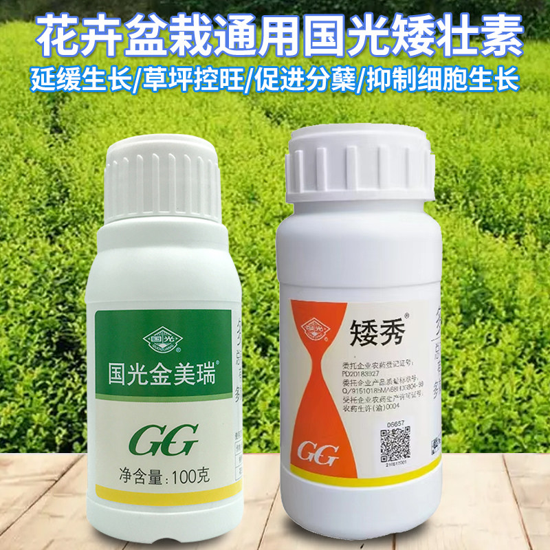 国光矮秀矮壮素30%多效唑甲哌鎓多肉月季花生矮化剂调节植物生长