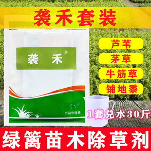 袭禾套装绿篱苗木地被专用除草剂石楠黄杨麦冬除茅草芦苇牛筋草