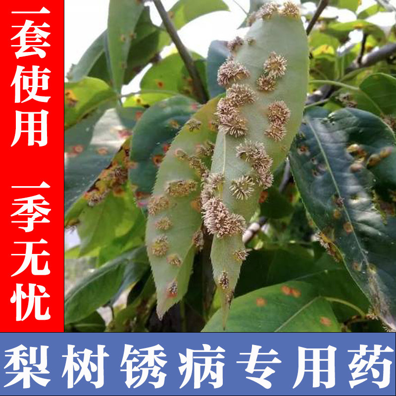 梨树锈病白粉病吡唑醚菌酯杀菌剂海棠树苹果玉米黑斑病三唑酮农药