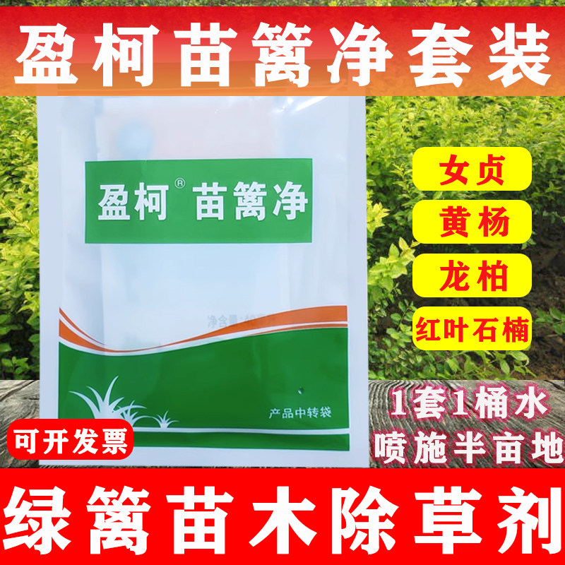 盈柯苗篱净套装绿篱苗木除草剂红叶石楠黄杨女贞除马唐水花生莎草