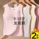 16岁少女儿童大童女童内衣发育期小学生初中无痕德绒保暖背心