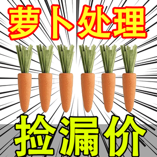 卡诺仓鼠粮食主粮饲料胡萝卜草莓磨牙零食面包虫干金丝熊专用食物