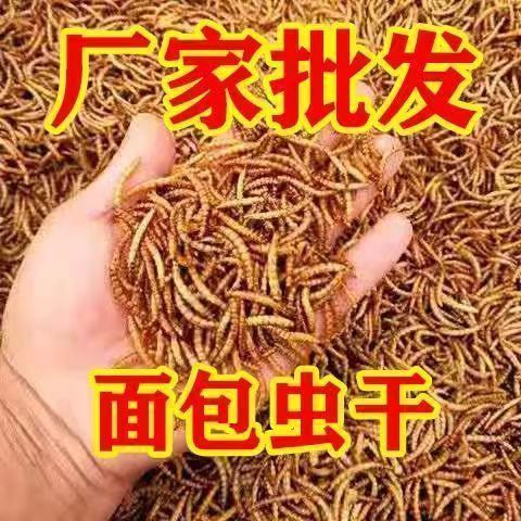 仓鼠零食营养面包虫干增肥提升高蛋白鸟类侏乌龟粮食仓鼠粮黄粉虫
