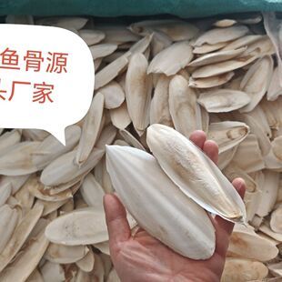 墨鱼骨鹦鹉专用补钙海螵蛸用品虎皮磨牙松鼠宠物5厘米长带墨鱼汁