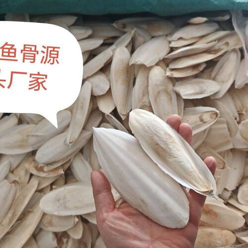 墨鱼骨鹦鹉专用补钙海螵蛸用品虎皮磨牙松鼠宠物5厘米长带墨鱼汁