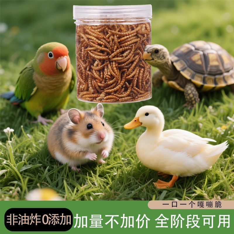 仓鼠粮食面包虫干营养磨牙棒饲料小零食金丝熊仓鼠虫子干瓶装