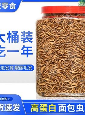 仓鼠零食营养面包虫干增肥提升高蛋白鸟类侏乌龟粮食仓鼠粮黄粉虫