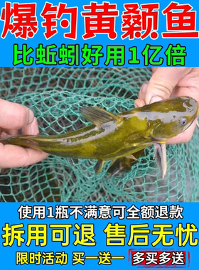 黄桑黄颡黄刺公黄腊丁嘎牙子昂刺鱼黄骨鱼黄姑子黄刺骨小药饵料