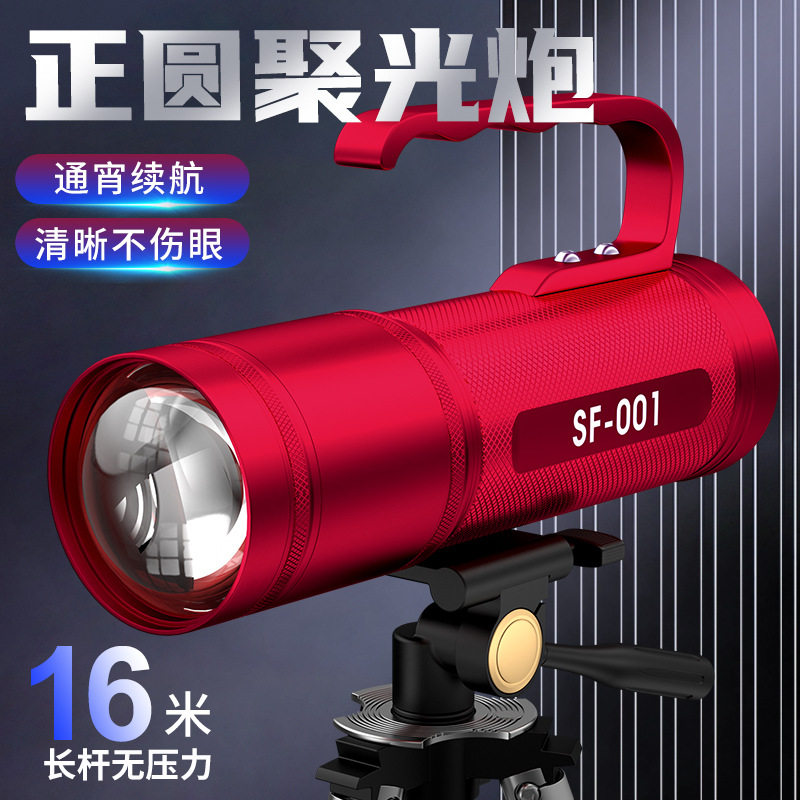 十大品牌鲫鱼夜钓灯夜光灯紫光灯大功率照漂灯钓鱼专用野钓激光炮