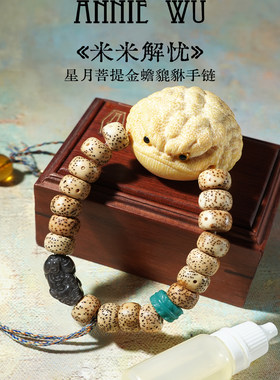 ANNIE WU【米米解忧】星月菩提招财金蟾貔貅手串手链文玩原创设计