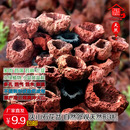 火山石花盆天然自然异形花盆兰花绿植盆栽多肉菖蒲透气吸水上水石