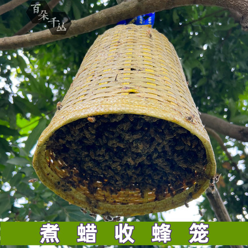 竹制收蜂笼布袋收蜂百朵千丛