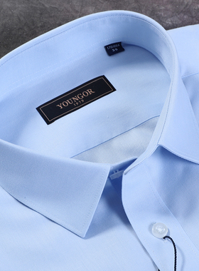 雅戈尔天蓝色DP纯棉免烫商务正装男青年春秋长袖衬衫GLDP10171IFA