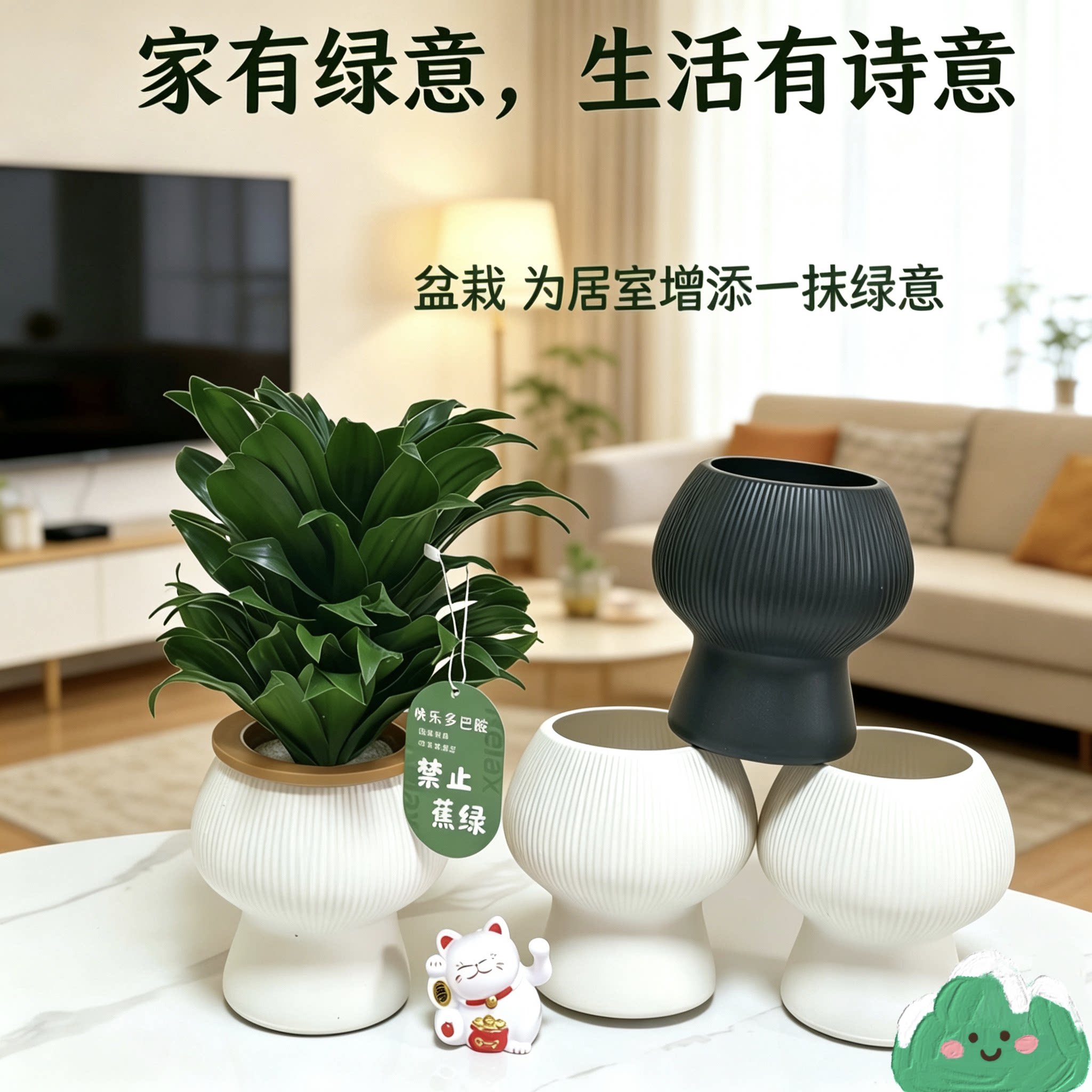 水培太阳神懒人植物室内耐阴桌面水养绿植网红盆景基地直发