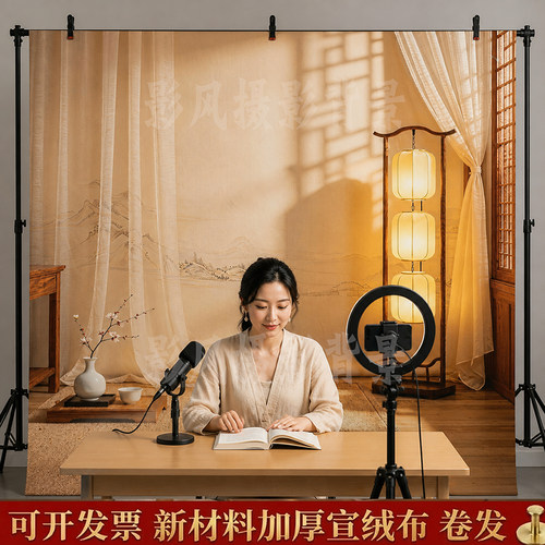 网红古风茶室布立体3D 新中式穿搭直播拍照农家老屋晒秋布景道具