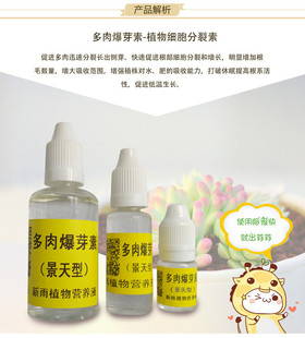 多肉分裂素爆芽素多肉细胞分裂素多肉侧芽爆芽素新雨植物营养液