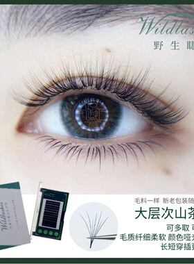 买五送一 Wildlashes店铺主推款灵动山茶花睫毛（根部无胶）嫁接