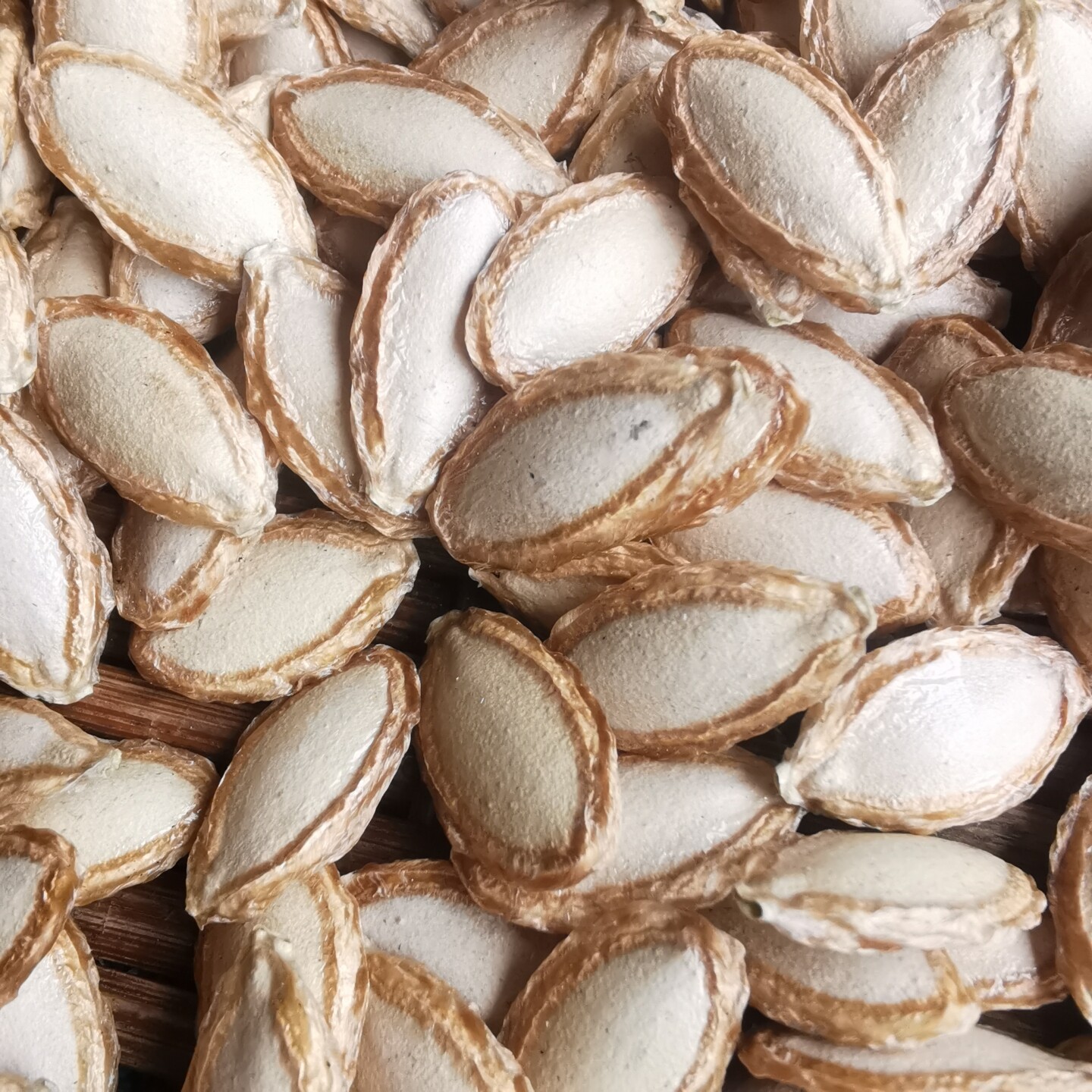 2025年农家生南瓜子毛边南瓜子土南瓜子南瓜籽自然晒干原味带壳