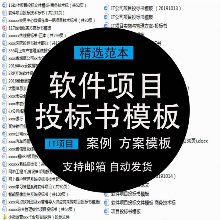 IT公司软件开发项目投标书模板信息系统解决方案案例范本投标文件