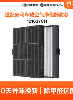 安利逸新车载空气净化器除醛滤网