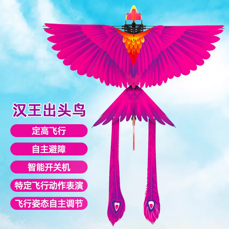 汉王智能仿生扑翼出头鸟