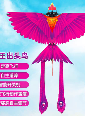 汉王智能仿生扑翼出头鸟