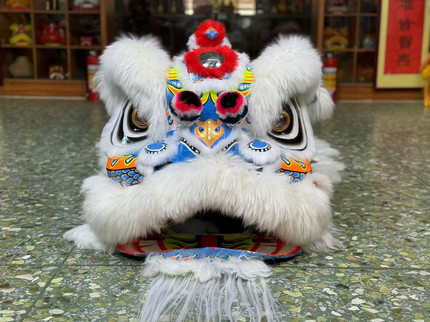 广东南狮训练狮头南狮醒狮龙狮道具狮子毛装狮舞龙舞狮头