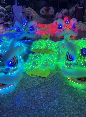 酒吧LED灯光南狮 夜光狮佛山狮 鹤山狮 夜光狮 醒狮道具 荧光狮子