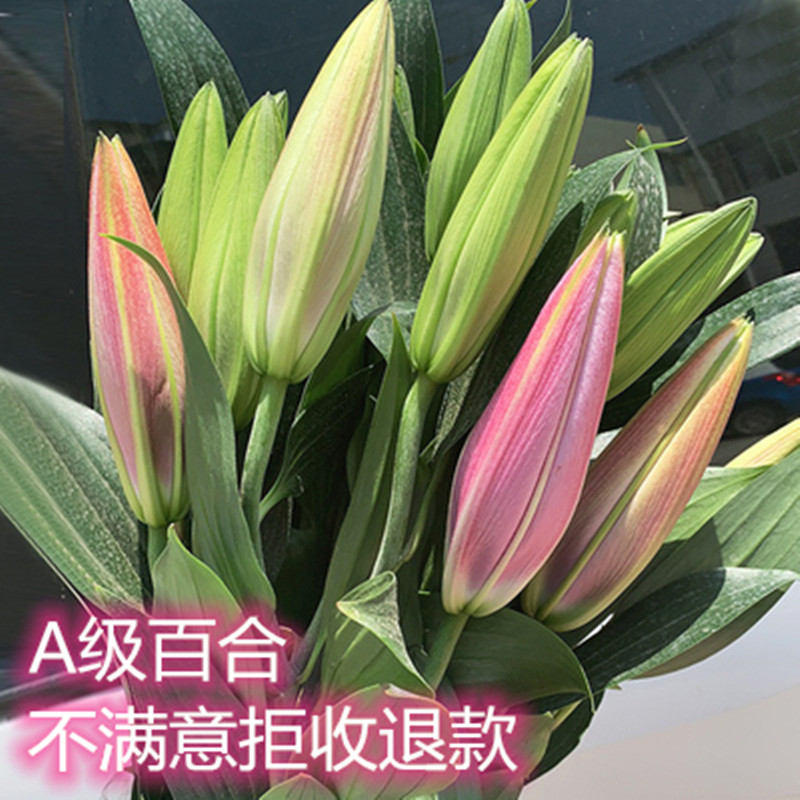 【精美单品品质优先】年花云南昆明卡瓦娜百合鲜花速递基地直发