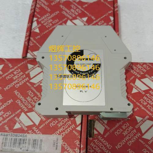 询价特价       瑞士 佳乐  安全继电器  NES13DB24SA  全新正品