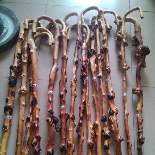 Yunnan Fruit tree Fruit a cane walking stick Wood carving natural Burl The original ecology Root carving Wooden Cane 4in the Home accessories , Carving , Root  category - from Buy2taobao.com to provide professional Taobao agent buy service